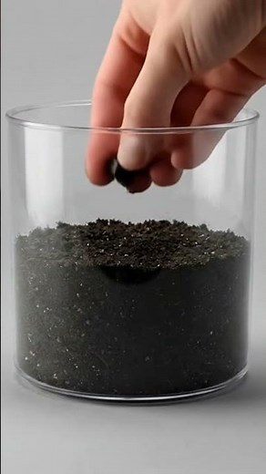 Watch a Strawberry Grow from Seed to Fruit 🍓 | Realistic Plant Growth Timelapse