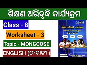 Class 8 English workbook / Worksheet -3 Mongoose /8th class English workbook