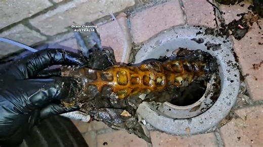 25K views · 645 reactions | I unblocked her drain, then had an awkward conversation after! | Drain Cleaning Australia | Facebook