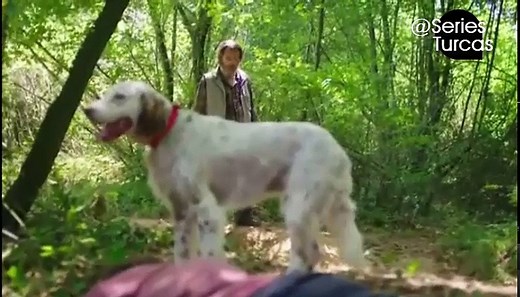 Alas Rotas - Capítulo 27 Doblado