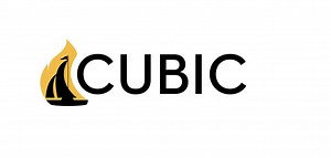 3D model of our Cub stove with Brass trim. Around and around she goes. | Cubic Mini Wood Stoves