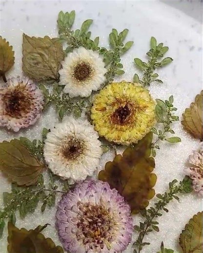 A garden in Plate