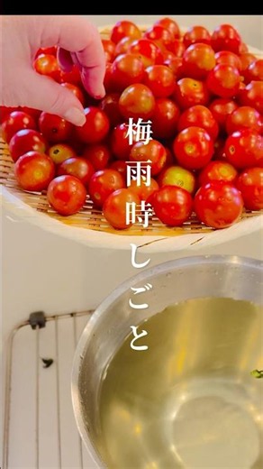【梅雨時しごと】ドライトマトを作りました。#梅雨時 #ナチュラルライフ #手仕事 #ドライトマト