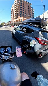 Treats for dogs around Sydney 🐕 I think it’s time to start a new tally? 🌚 Say hi if you see me around. I’d love to meet you!… and your furry friends 🖤 Love you, kisses x . #harveyridesbikes #harvey #preciouscargo #motorbike #motorcycle #scrambler #biker #vibes #wholesome #feelgood #london #gopro #dog #dogsofinstagram #interactions | Harveyridesbikes