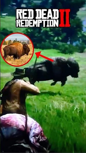 HUNTING AMERICAN BISON | Red Dead Redemption 2