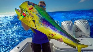 189K views · 3.3K reactions | Sight fishing a HUGE Color Changing Fish! | Landshark Outdoors | Facebook