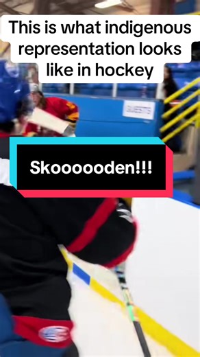 Indigenous Representation and Trends on Native TikTok