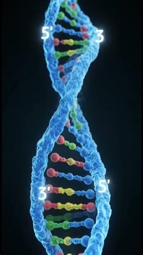 what is Dna #education #botany #genetics #science #ytshorts #definitions #botanyexampurpose