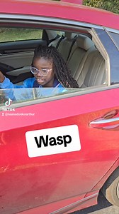 24K views · 473 reactions | Wasp in my house  | Chickenn | Facebook