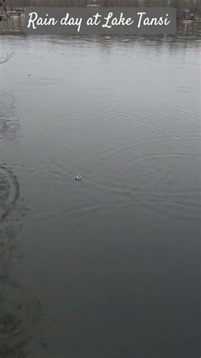 Beautiful rain, Crossville TN Lake Tansi