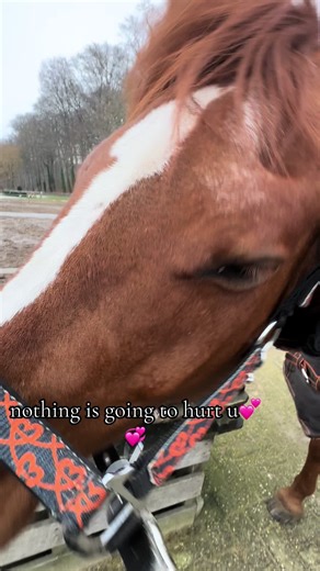 Video's van ✨ Ozzy & Coldy ✨ (@oscar.coldplay) met original sound - Itaewon Tedibea