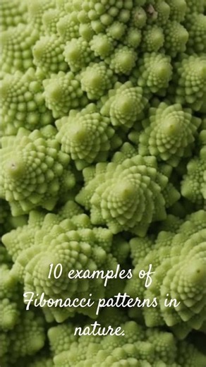 Discover 10 examples of the Fibonacci sequence in nature!Nature’s hidden code. #fibonaccisequence