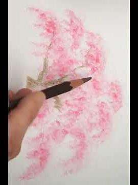 しだれ桜の世界一簡単な描き方【水彩色鉛筆】 #painting #art #桜 #桜の描き方