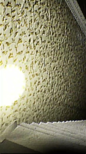 🪿|It's Locked #backrooms #enterthebackrooms #horror #liminalspace #scary #dreamcore #gaming #liminal