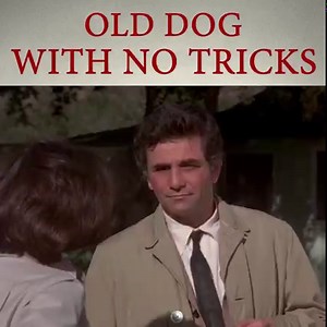 The best part about Columbo's dog is that it's basically exactly like him 😂 Aren't they always like their owners? 😃 #columbo #columbotv #tv #70s #NBC #mystery #peterfalk #nostalgia | Columbo