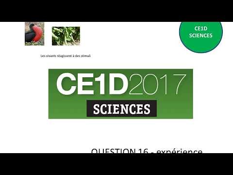 CE1D 2017 question 16 + corrigé