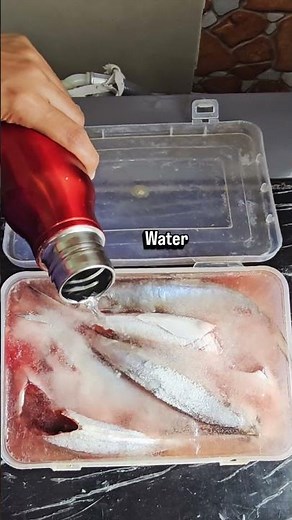 Frozen Fish? Defrost in minutes 💧❗️Quick kitchen Hack