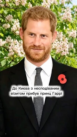 Prince Harry in spring Kyiv: important words of support #ukraine #shortsua#support
