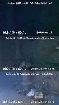Mission 1 Pro vs GoPro Hero 9 - Der erste Unterwasser Test