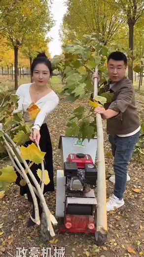#Portable Branch and Straw Chopper #Branch Chopper #Electric-Free Straw Chopper #Agriculture#Chopper