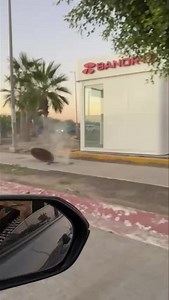🚔🚨 #LPZ | La Paz, BCS.– La tarde de este día se reportó la explosión de un transformador en el fraccionamiento Villas del Encanto, específicamente en el cruce del bulevar Pino Payas y calle J. Mujica. De acuerdo con el reporte, tras la explosión comenzó a salir humo del registro ubicado sobre la banqueta, lo que generó alarma entre vecinos de la zona. La situación fue notificada a las autoridades correspondientes para su atención y prevención de riesgos. | Más Noticias de BCS