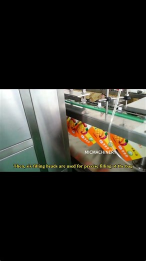 Best Liquid Pouch Filling Machine of 2026 Chinese Manufacture.Machinery