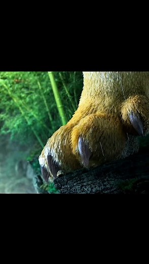 jack on Instagram: "Snake vs lion🔥🔥🔥#cinematic#animation"