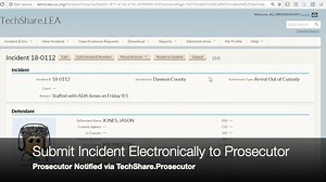 TechShare.Prosecutor Solution Overview