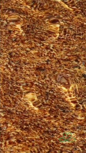 Safe to Feel, Safe to Create: 417Hz Sacral Chakra Mantra Loop