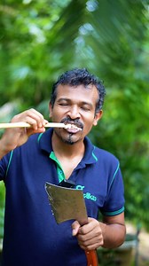 Caryota urens | Gamiya Travel