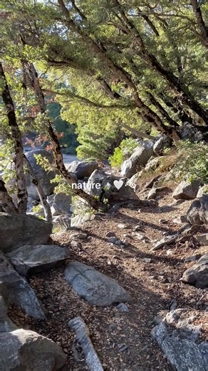 Exploring Nature's Beauty: A Hiking Vlog Adventure