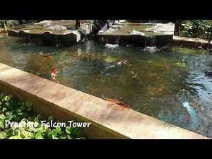 Prestige Falcon Tower Pond