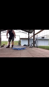 1.1K views · 40 reactions | BIG LIL DOG IGNITION  #k9servicesunlimited #yorkie #puppy #dogtraining | K-9 Services Unlimited LLC | Facebook