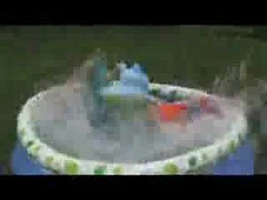 Sped Up: Fred Goes Swimming