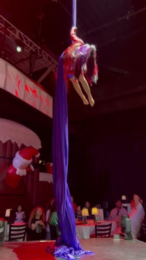 Aerial Silks Spin Trick #aerial #aerialist #silks #lift #spin #aerialsilks #perform #show