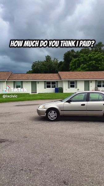 Logan Cole on TikTok