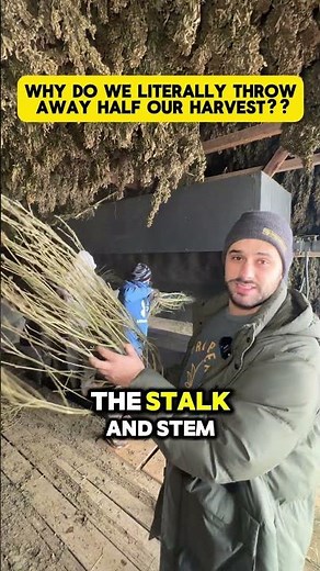 Why we literally throw away half of our hemp harvest