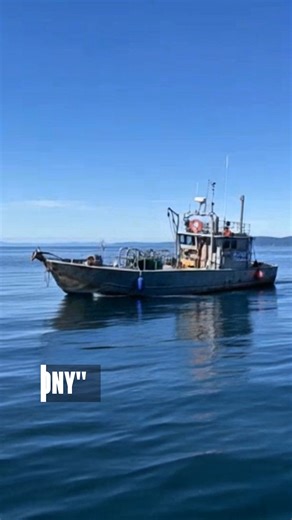 🚤 38.5' Aluminum Dive Boat – “Paul Anthony” – C Licence �Commercially built and dive-ready, Paul Anthony is a solid, aluminum workhorse ideal for urchin and cucumber fisheries. Powered by a 250hp Yanmar diesel with auxiliary hydraulics, this boat is fully serviced and ready to get to work this season. ✅ C Licence� ✅ 3 fuel tanks, 300-gallon capacity� ✅ Hydraulic anchor winch 2 capstans� ✅ Comfortable accommodations with Dickinson stove heating� ✅ Locattion: North Vancouver Island A reliable Wes