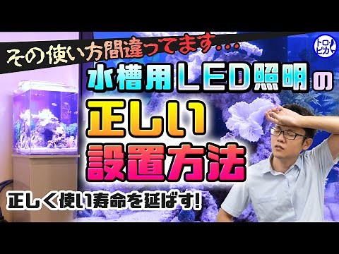 【その使い方間違ってます】水槽用LED照明の正しい設置方法！正しく使い寿命を延ばせ！