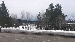 127K views · 3.2K reactions | 399 plus four. All in great shape | Team 399 | Facebook