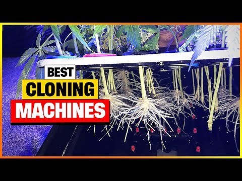 Best Cloning Machines Reviews 2025 [Top 7 Cloning Machines]