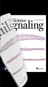 See what's new from the Science family of journals