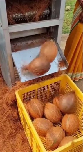 This Machine Turns Raw Coconut Into Clean Coconut 😮#shorts#trending#viral