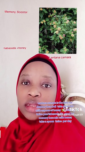 Natural Memory Boosting Remedy with Lantana Camara Leaves and Honey
