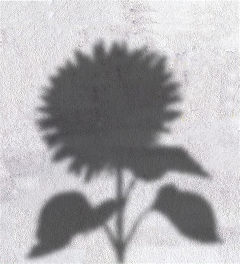 Easy Canva Trick #canva #canvadesign | Canva Tutorials