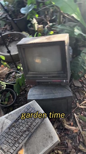 mghhlmn lng ult dhl nkuwi n