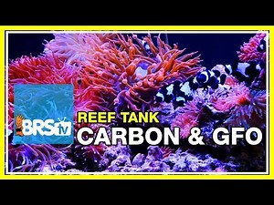 Week 24: Carbon, GFO & Filter Media for a Clean, Stable Reef Tank. | 52 Weeks of Reefing