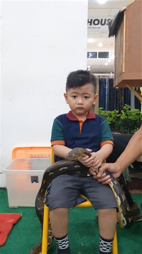 ada yang berani ga ? #shorts #ular #anak