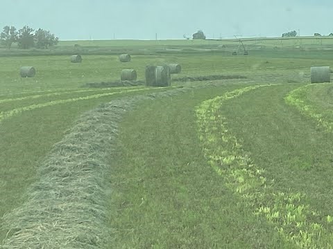 New Holland Roll Belt 560 Mesh Wrapping FAILURES / Fixes