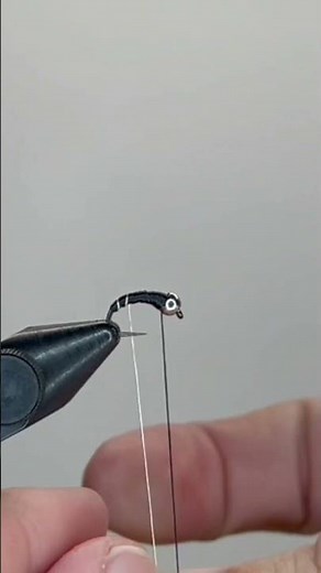 Fishing Tip Number 12 | Winter Fly Fishing Tip ❄️🎣 | Size 18 Zebra Midge